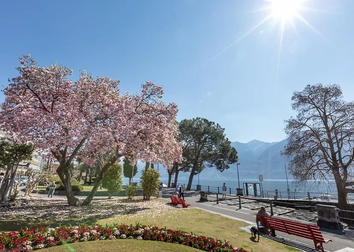 Giardino By Interhome Apartment Ascona