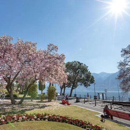 Giardino By Interhome Apartament Ascona